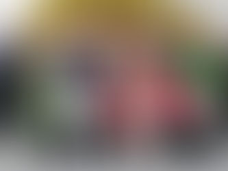 Panie i Panowie świętowali w Drążnej