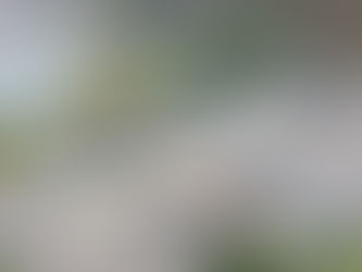 Od nowego roku mieszkańcy gminy Golina będą korzystać z nowego PSZOK-u