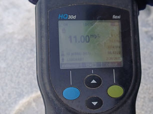 Zbadali Jezioro Słupeckie. "Wyniki nad wyraz dobre"