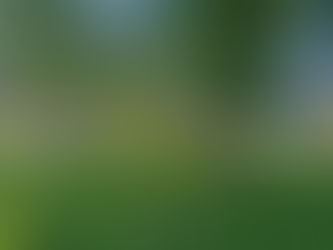 "Rynek pięknieje wśród zieleni"