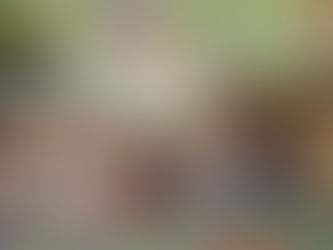 Pluszowi miś królował w przedszkolu w Giewartowie