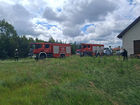 Padły trzy konie w wyniku porażenia prądem