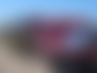 Szkolili się z zakresu pożaru lasu i przetłaczania wody na dalekie odległości