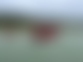 Dwie osoby wpadły do wody. Pomogli strażacy