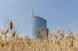 WHEATFIELD_12_ACRES_MILAN_ITALY_2015_AGO0016a_Panorama_1_MR-1