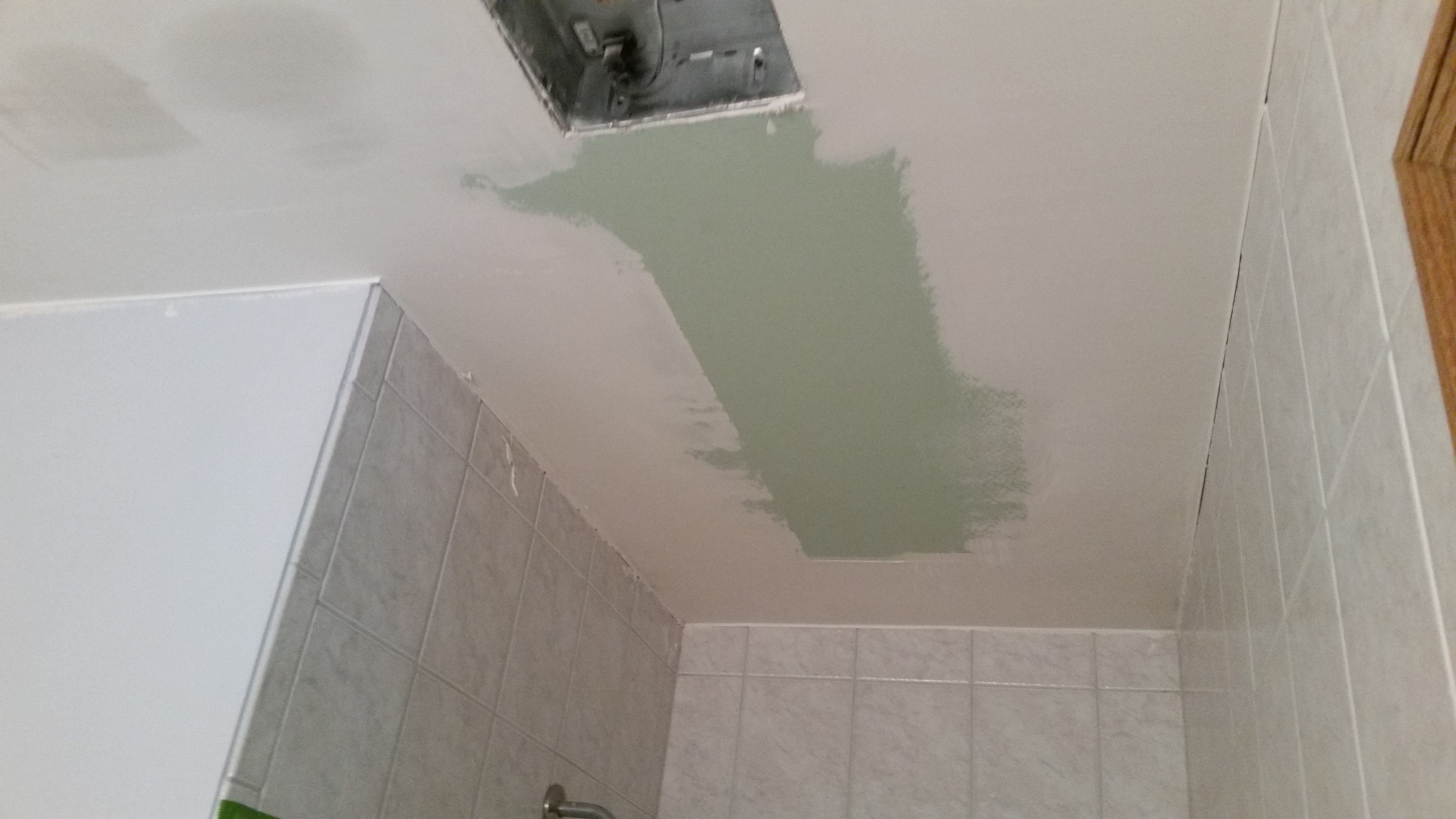 Bathroom ceiling skinned