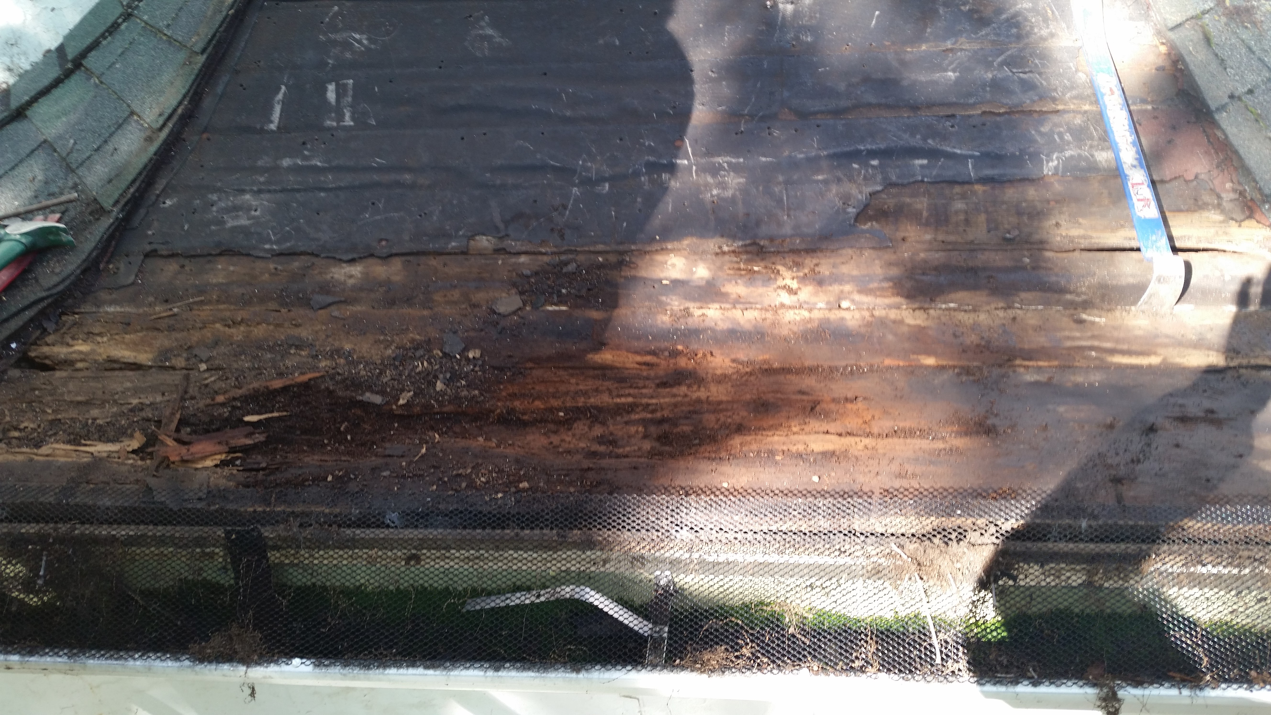 Severe Roof Leak Repair