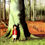 Miniatura: Hide and seek / Anthony Browne