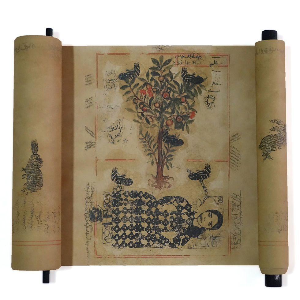 A la sombra de un naranjo / Mohammad Barrangi y Juliana Muñoz Toro