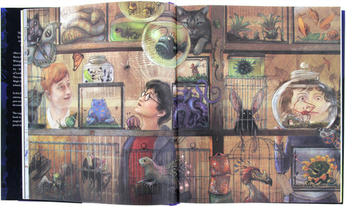 Resultado de imagen de jim kay azkaban