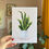 Thumbnail: Snake Plant Print - SALE