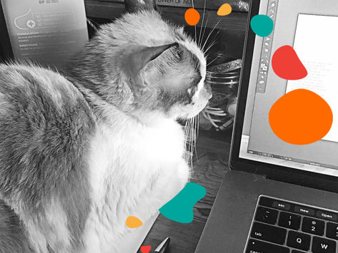 The Lockdown, Day 19: Pets = Sanity