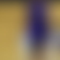 他己紹介【No.6 ルイ】