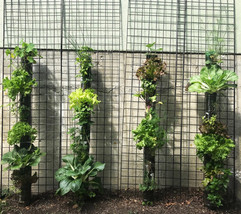 vertical tiny gardens.jpeg