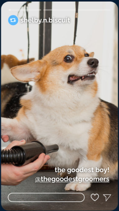 ree