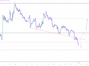 Litecoin Market Update and Setup Friday 11/21/2025