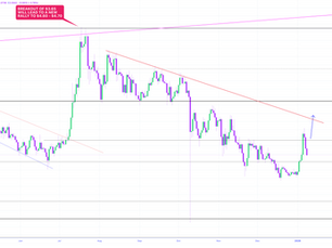 XRP Market Update and Setup Thursday 1/08/2026