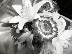 "Subterranean Memories 7"