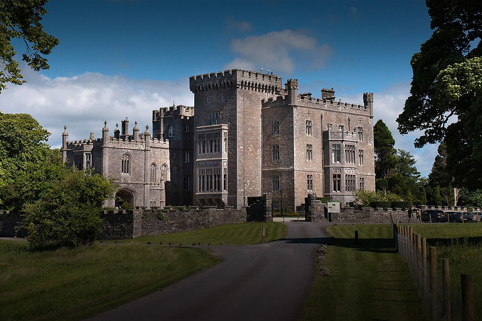 Markree Homepage.jpg