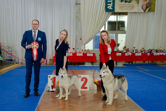 Отчет с монопородной выставки ПК г. Пермь 09.03.2019