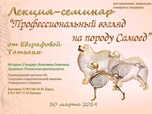 СЕМИНАР по породе САМОЕД 30 марта 2019