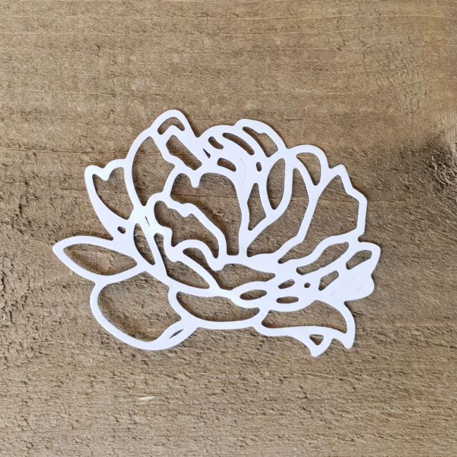 Miniaturbild: SEEROSE / BLÜTE