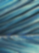 Background.jpg