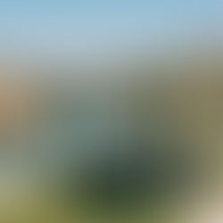 Best vineyards in Porto