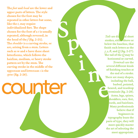 Spine & Counter 1