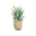 059c3536-1cfd-485d-89f5-2f3da46bdecf_1.7