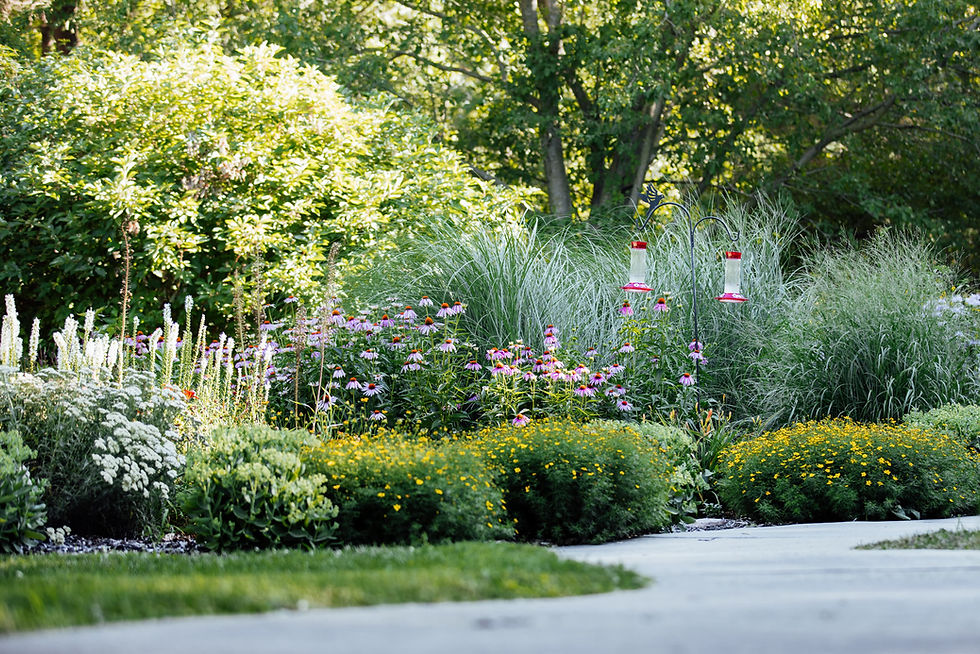 flower garden in summer with trees and walking path
