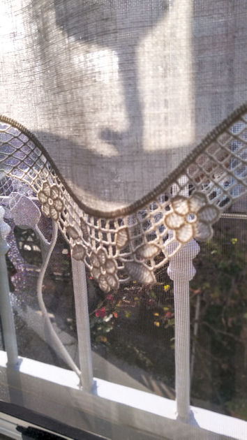 Medhelan - Cologno scorci di sole