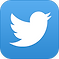 Twitter App Icon