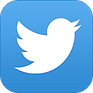 Twitter App Icon