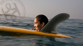 Banner_Longboard_et_Mid_Single_2_1.jpeg