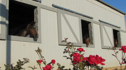 964004_376676425771203_847929696_o