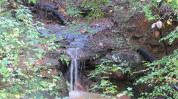 1398309_436515013120677_242410230_o