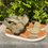 Thumbnail: side view of pair of ZETA Sandals in the park in Balmain Sydney