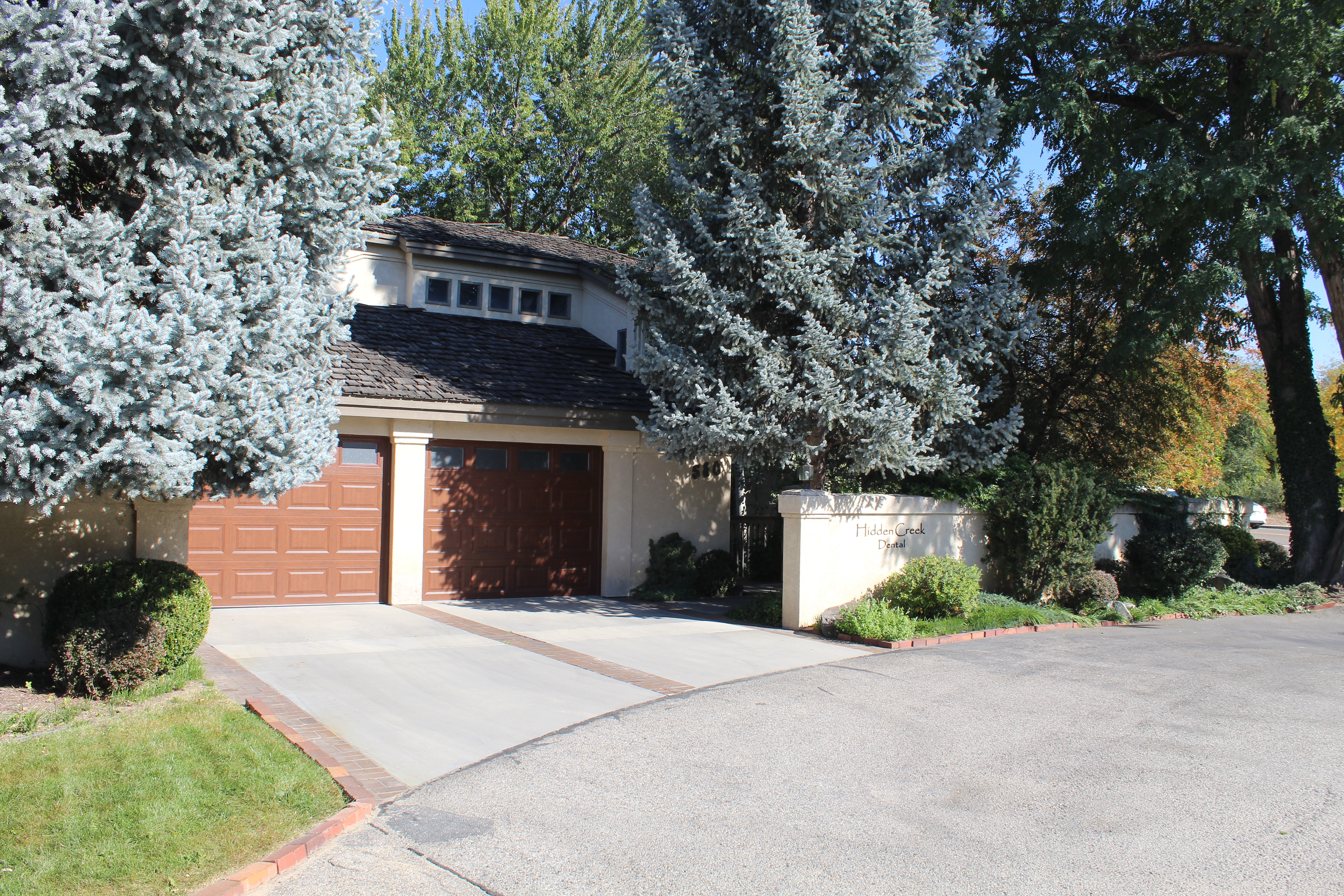 zoom care boise zoom care boise