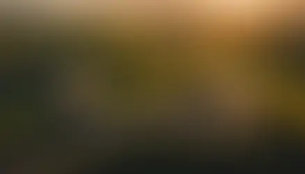 Unleashing the Power of Data: How Resembler's Latest Milestone is Aiding Autonomous System Safety Validation in June 2024