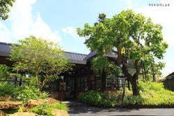 128906658_4734010783340314_3356063026281