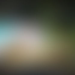 ต้นไม้ใหญ่ | ฝังตุ้มลอยแก้ปัญหารากเน่าตายได้