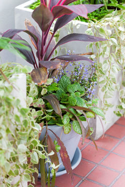 โรงพยาบาลเด็ก-7