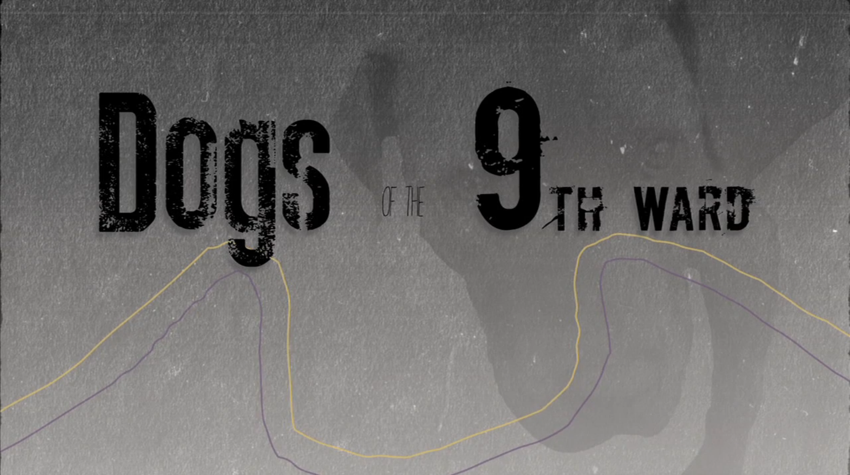 Dogs of the 9th Ward