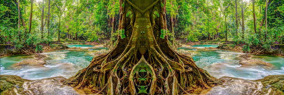 Turquoise stream tree HDR Photo Art