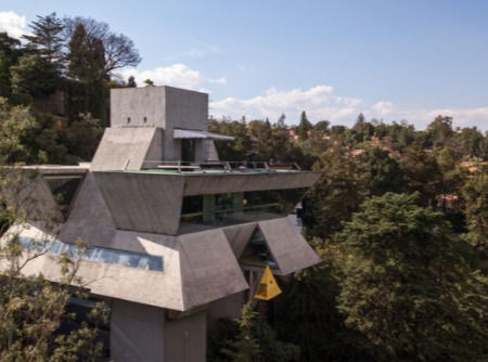 Taller de Arquitectura de Hernández abre sus puertas para presentar la muestra "debajo del arbol"