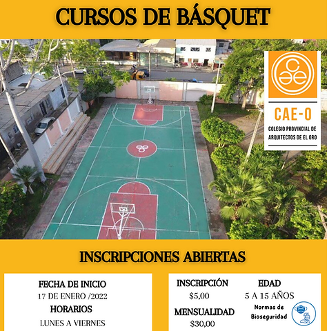 CURSOS DE NATACIÓN Y BÁSQUET (3).png