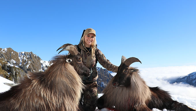 Pursue two of the South Island’s most iconic big game species on the ultimate high-country double-header. Guided by an elite mountain hunter through the breathtaking peaks of the Southern Alps, this premier spot-and-stalk adventure tests your resolve and rewards you with the pinnacle of alpine hunting.