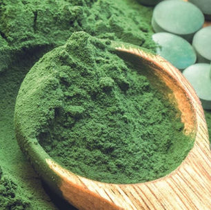 Investigadores israelíes estudian capacidad del alga espirulina para prevenir COVID-19 grave