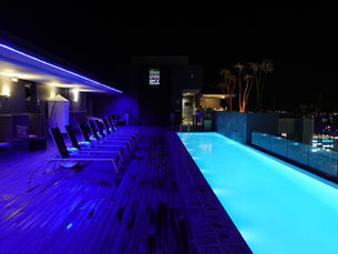 At the Crocodile Farm, in a Herero Village and on the Hilton Rooftop